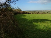 Herland Round
