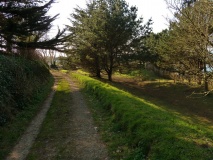 Carnsew hillfort