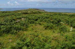 Bosigran Settlement