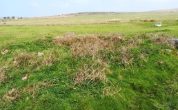 Carn Brea Hut circles and Tumulus