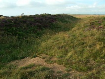 Crane Castle