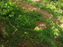 Tolver Hut site and Outcrop