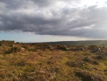 West Lanyon Enclosure
