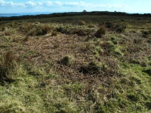 Botrea Tumuli, Homstead and Hut Circle