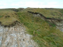 Winecove Point mid