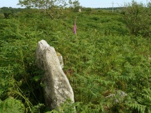 De Lank Quarry