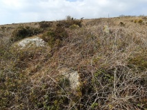 Bartine boulder cairn