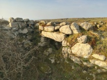 Bosporthennis 2