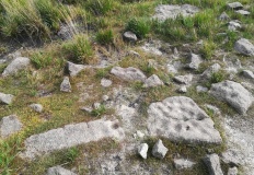 Stithians Cupmarked Stones