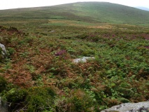 Carn Galver