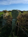 Trevilley Cross