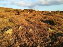 Boswarva Carn Hut Circles and Enclosure
