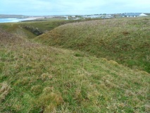 Winecove Point S