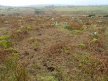 Blacktor Settlement
