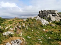 The Carn Field System