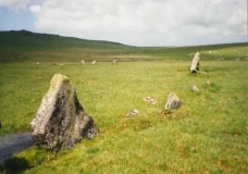 Fernacre