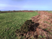 Caer Bran Enclosure