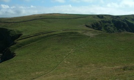 The Rumps