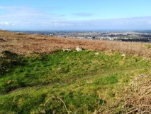 Carn Brea Enclosure
