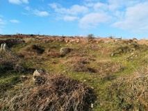 Boswarva Carn Settlement