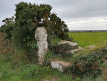 Brane Cross