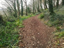 Tolcarne (Mount Misery) Round