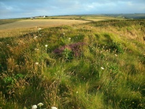 Hudder Down Tumulus