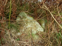 Trewey Common