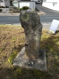 Penbeagle Cross