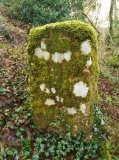 Lower Drift Cross