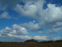 The Pipers barrow