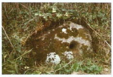 Boscawen Ros Holed Stone