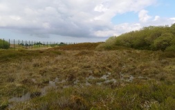 Goonhilly tumuli