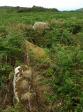 Trewey Hill