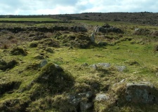 Bosporthennis 2