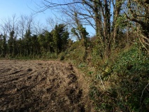 Carnsew hillfort