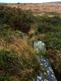 Treen Common (The Beacon)
