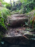Sancreed Well