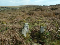 Bosporthennis 2