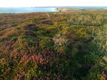 St Agnes Beacon