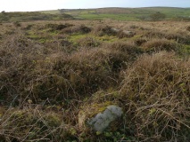 Tonkins Downs