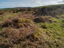 Amalveor downs tumuli