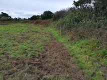Trebowland Round