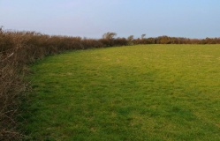 Faughan