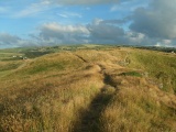 Bossiney Settlement
