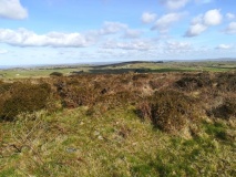 Amalveor downs tumuli