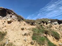 Lowland Point