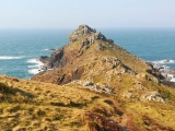 Click for full size image of Gurnard's Head (PID:212111) Gurnard's Head