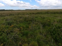 Carn Maer Tumuli