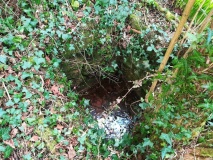 St Euny's Well (Carn Brea)